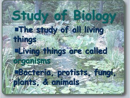 1 Study of Biology The study of all living things Living things are called organisms Bacteria, protists, fungi, plants, & animals.