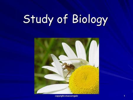 1 Study of Biology copyright cmassengale. 2 What is Biology? Biology is the study of all living things Living things are called organisms Living things.