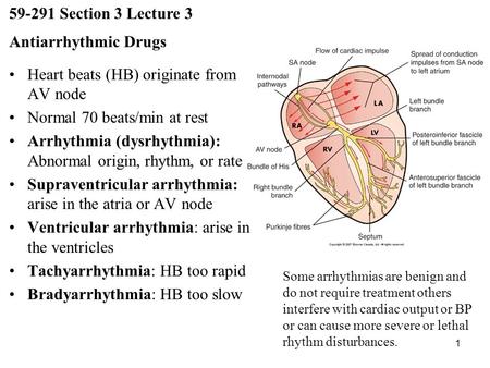 1 59-291 Section 3 Lecture 3 Antiarrhythmic Drugs Heart beats (HB) originate from AV node Normal 70 beats/min at rest Arrhythmia (dysrhythmia): Abnormal.