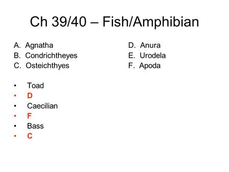 Ch 39/40 – Fish/Amphibian A. AgnathaD. Anura B. Condrichtheyes E. Urodela C. OsteichthyesF. Apoda Toad D Caecilian F Bass C.