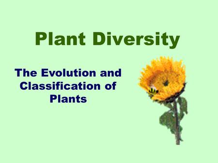 Plant Diversity The Evolution and Classification of Plants.