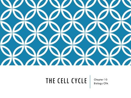 THE CELL CYCLE Chapter 10 Biology CPA. TheLifeCycleofCells.