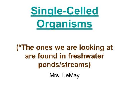 Single-Celled Organisms (*The ones we are looking at are found in freshwater ponds/streams) Mrs. LeMay.