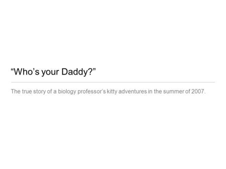 “Who’s your Daddy?” The true story of a biology professor’s kitty adventures in the summer of 2007.