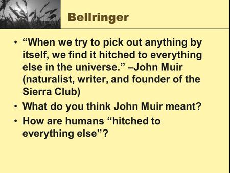 Bellringer “When we try to pick out anything by itself, we find it hitched to everything else in the universe.” –John Muir (naturalist, writer, and founder.