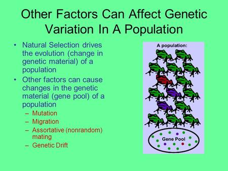 Other Factors Can Affect Genetic Variation In A Population