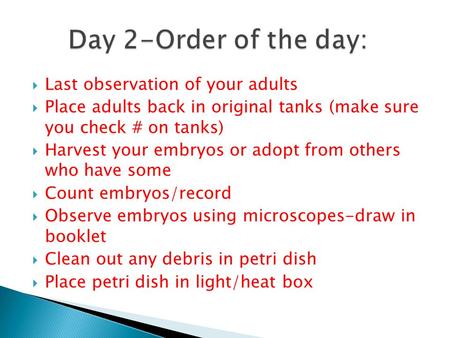  Last observation of your adults  Place adults back in original tanks (make sure you check # on tanks)  Harvest your embryos or adopt from others who.