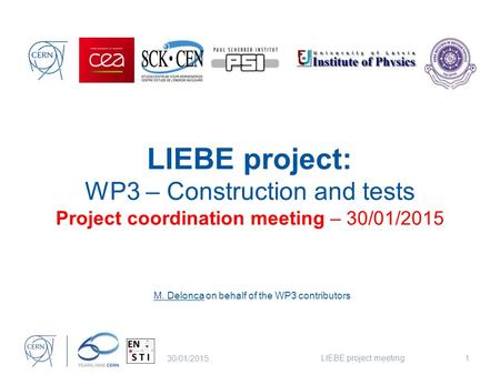 LIEBE project: WP3 – Construction and tests Project coordination meeting – 30/01/2015 30/01/2015 LIEBE project meeting1 M. Delonca on behalf of the WP3.