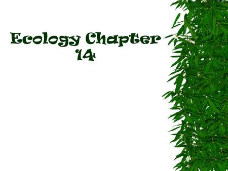 Ecology Chapter 14 Competition- competing for resources  occurs due to a limited number of resources  Resource- any necessity of life. water, nutrients,