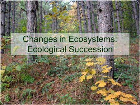 Changes in Ecosystems: Ecological Succession. Ecological Succession Natural, gradual changes in the types of species that live in an area; can be primary.