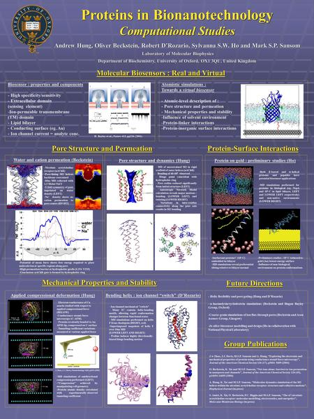 Proteins in Bionanotechnology Computational Studies Andrew Hung, Oliver Beckstein, Robert D’Rozario, Sylvanna S.W. Ho and Mark S.P. Sansom Laboratory of.