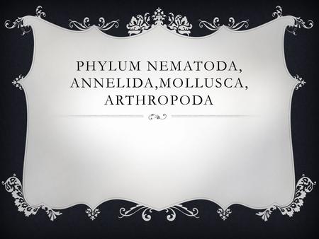 PHYLUM NEMATODA, ANNELIDA,MOLLUSCA, ARTHROPODA. PHYLUM NEMATODA  Eukaryotic cells,  Pseudocoelomates, two-opening digestive tract (mouth & anus) ingest.
