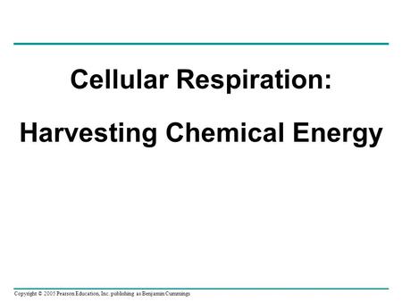 Copyright © 2005 Pearson Education, Inc. publishing as Benjamin Cummings Cellular Respiration: Harvesting Chemical Energy.