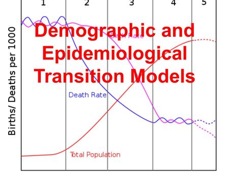 Demographic and Epidemiological Transition Models