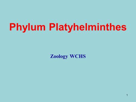 1 Phylum Platyhelminthes Zoology WCHS. 2 Phylum Platyhelminthes Flat worms Triploblastic= 3 tissue layers Acoelomate Bilateral symmetry Hermaphroditic.