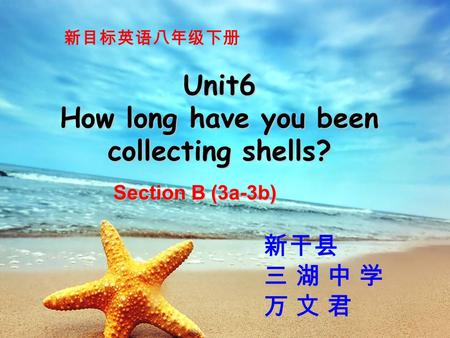 Unit6 How long have you been collecting shells? Section B (3a-3b) 新干县 三 湖 中 学 万 文 君 新目标英语八年级下册.