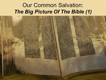 Our Common Salvation: The Big Picture Of The Bible (1)