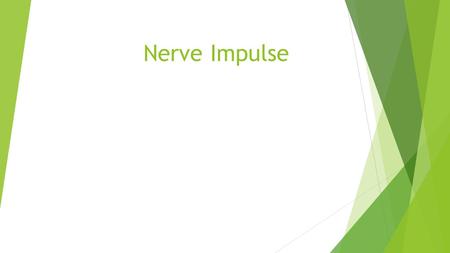 Nerve Impulse. A nerve impulse is an impulse from another nerve or a stimulus from a nerve receptor. A nerve impulse causes:  The permeability of the.