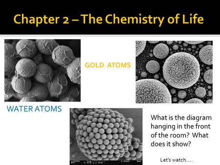 WATER ATOMS GOLD ATOMS Let’s watch….. What is the diagram hanging in the front of the room? What does it show?