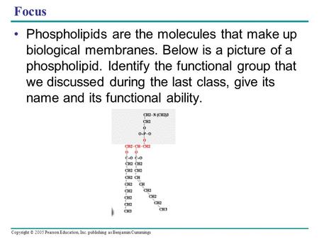 Copyright © 2005 Pearson Education, Inc. publishing as Benjamin Cummings Focus Phospholipids are the molecules that make up biological membranes. Below.