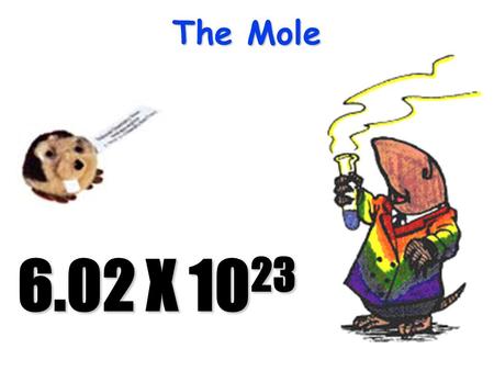 The Mole 6.02 X 10 23 The Mole 1 pair = 2 representative particles1 pair = 2 representative particles 1 dozen = 12 representative particles1 dozen =
