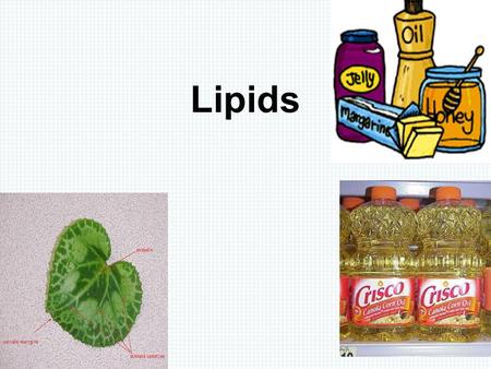 Lipids. Lipids are composed of: Carbon Hydrogen Oxygen BUT: Lipid molecules have a larger number of Carbon and Hydrogen and a smaller number of Oxygen.