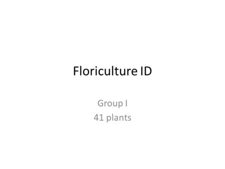 Floriculture ID Group I 41 plants. Hens and Chicks.