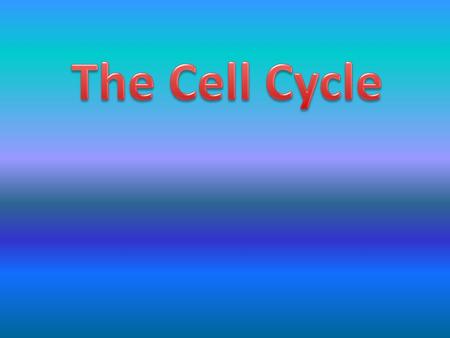 Why are cells so small ? Think about the size of a cell and consider the surface area….. Does surface area increase as the size of the cell increases?