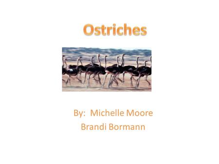 By: Michelle Moore Brandi Bormann. Ostriches have animal cells. The main parts of an animal cell is the nucleus, cell membrane, and cytoplasm. An ostrich.