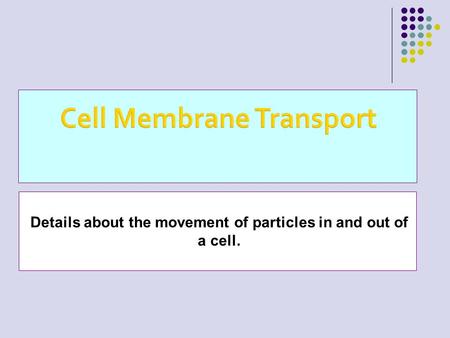 Details about the movement of particles in and out of a cell.
