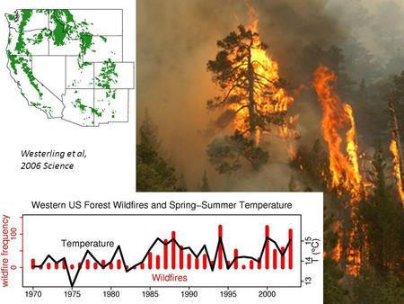 Westerling et al, 2006 Science. Late Snowmelt YearsEarly Snowmelt Years 1972 - 2003, NPS, USFS & BIA Fires over 1000 acres.