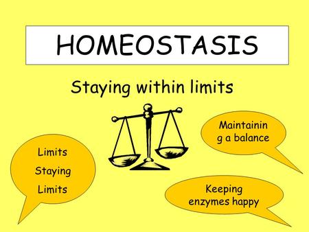 HOMEOSTASIS Staying within limits Limits Staying Limits Keeping enzymes happy Maintainin g a balance.