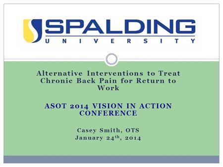 Alternative Interventions to Treat Chronic Back Pain for Return to Work ASOT 2014 VISION IN ACTION CONFERENCE Casey Smith, OTS January 24 th, 2014.