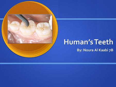 Human’s Teeth By: Noura Al Kaabi 7B. The Human’s Teeth.