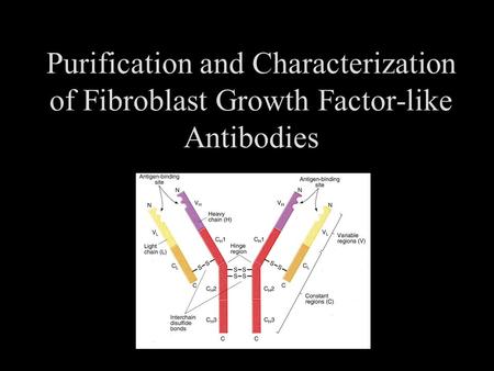 Purification and Characterization of Fibroblast Growth Factor-like Antibodies.