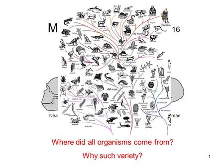 Microevolution – BioH Ch 16 Where did all organisms come from? Why such variety? 1.