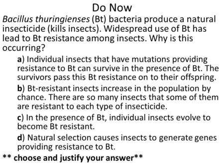 Do Now Bacillus thuringienses (Bt) bacteria produce a natural insecticide (kills insects). Widespread use of Bt has lead to Bt resistance among insects.
