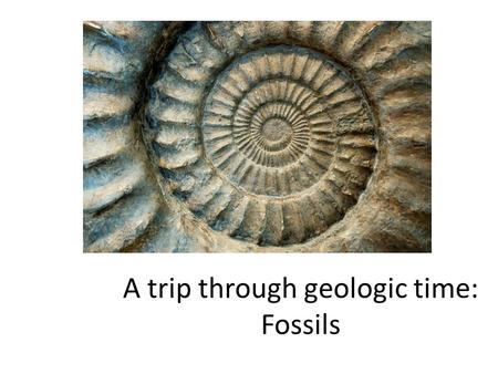 A trip through geologic time: Fossils. Uniformitarianism The present is the key to the past. The same geologic processes that operate today operated in.