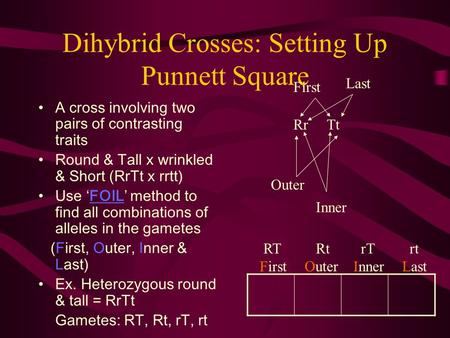 Dihybrid Crosses: Setting Up Punnett Square A cross involving two pairs of contrasting traits Round & Tall x wrinkled & Short (RrTt x rrtt) Use ‘FOIL’