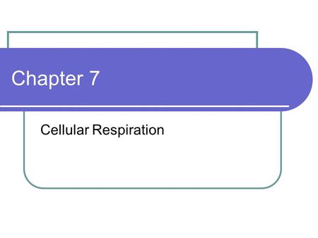 Chapter 7 Cellular Respiration.