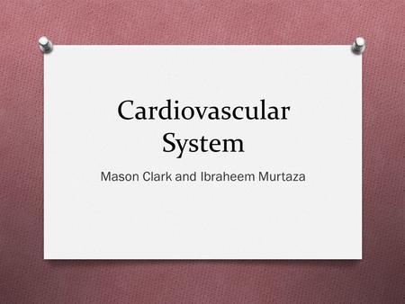 Cardiovascular System Mason Clark and Ibraheem Murtaza.