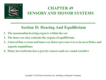 CHAPTER 49 SENSORY AND MOTOR SYSTEMS Copyright © 2002 Pearson Education, Inc., publishing as Benjamin Cummings Section D: Hearing And Equilibrium 1. The.