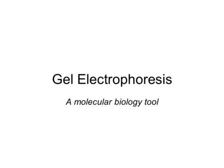 Gel Electrophoresis A molecular biology tool. Purpose To separate and analyze/compare fragments of DNA.