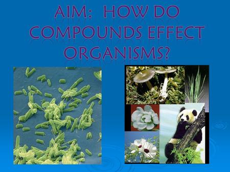 Do NOW: What does this picture mean to you? There are two categories of compounds: Organic Inorganic.