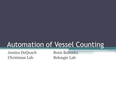 Automation of Vessel Counting Jessica DeQuachBoris Babenko Christman LabBelongie Lab.