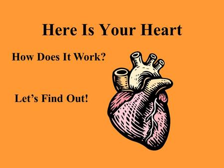 Here Is Your Heart Let’s Find Out! How Does It Work?