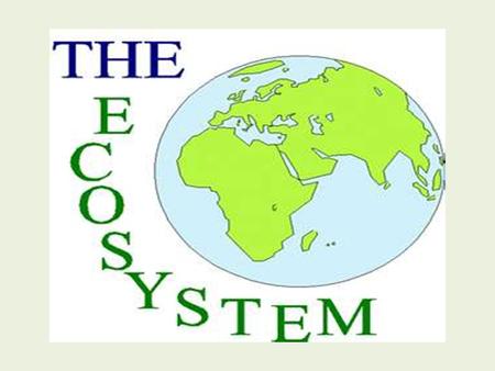 EQ: What is an ecosystem? Vocabulary Words Environment Ecosystem Population Community.