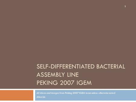 SELF-DIFFERENTIATED BACTERIAL ASSEMBLY LINE PEKING 2007 IGEM All ideas and images from Peking 2007 IGEM team unless otherwise noted Allen Lin 1.