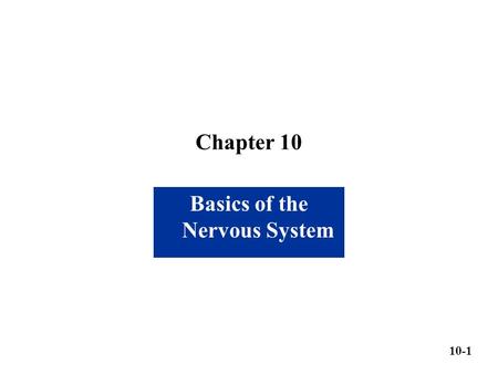 Basics of the Nervous System