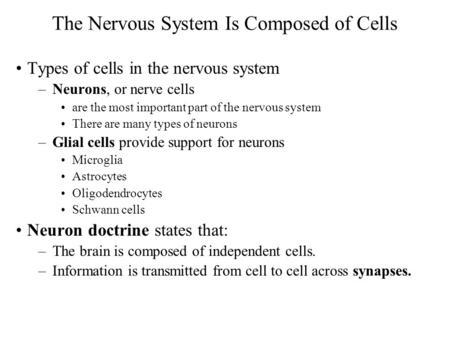The Nervous System Is Composed of Cells